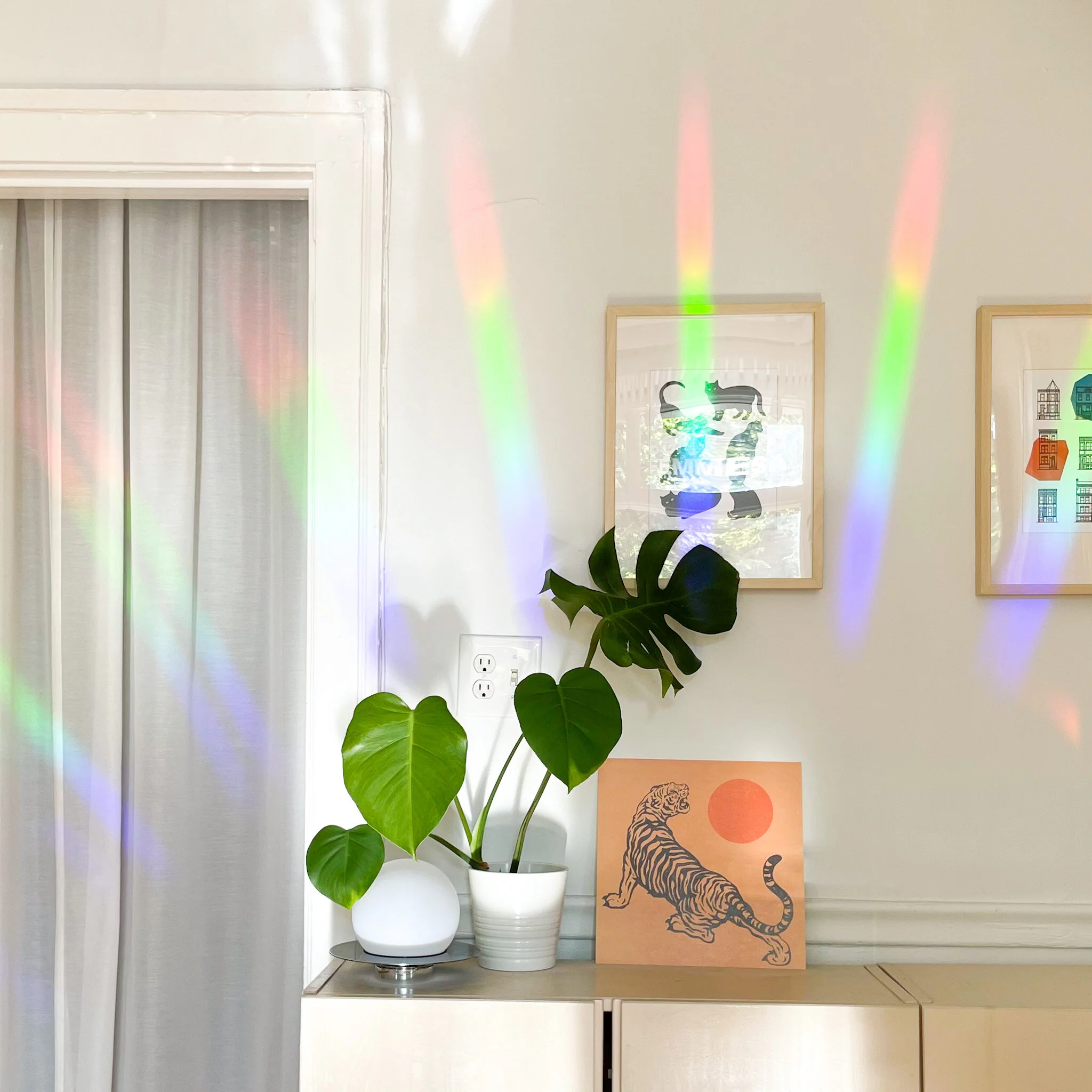 Citron Sun Catcher Rainbow Maker Decal - Image 3